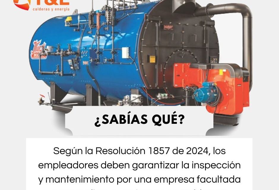 Consulting Project